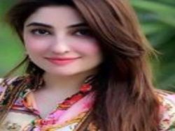 Gul Panra